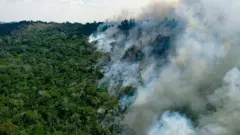 Fumaçacomo apostarqueimada na Amazônia