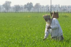 ਭਾਰਤ-ਪਾਕ ਕੌਮਾਂਤਰੀ ਸਰਹੱਦ 'ਤੇ ਲੱਗੀਆਂ ਤਾਰਾਂ 'ਚ ਉਲਝੀ ਪੰਜਾਬ ਦੇ ਕਿਸਾਨਾਂ ਦੀ ਜ਼ਿੰਦਗੀ, ਜਾਣੋ ਸਰਕਾਰ ਹੁਣ ਇਸ ਬਾਰੇ ਕੀ ਕਰ ਰਹੀ ਹੈ 