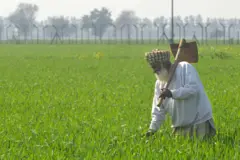 ਖੇਤਾਂ ਵਿੱਚ ਕੰਮ ਕਰਦੇ ਕਿਸਾਨ ਦੀ ਪੁਰਾਣੀ ਤਸਵੀਰ