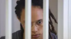 بریتنی گراینر