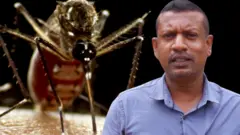 ඩෙංගු දෙවන වර ආසාදනය වඩාත් භයානක වෙන්නේ ඇයි?