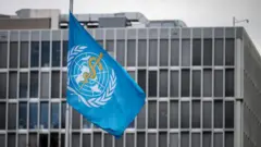 Флаг Всемирной организации здравоохранения (ВОЗ)