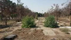 قطعه ۴۱ بهشت زهرا