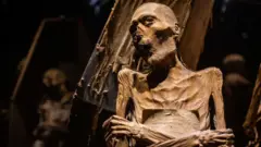 cadáver del Museo de Momias de Guanajuato 