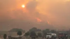 তুরস্কের ইজমির শহরের কাছে দাবানলের কারণে বাসিন্দাদের সরিয়ে নেওয়া হয়েছে।