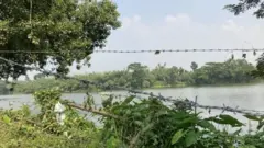 ভারতের হাকিমপুর সীমান্তে কাঁটাতার, মাঝে সোনাই নদী, অন্যদিকে বাংলাদেশের সাতক্ষীরা জেলা