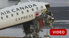 அமெரிக்கா 