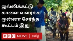 ஜல்லிக்கட்டு