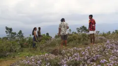 12 ஆண்டுகளுக்கு ஒரு முறை பூக்கும் நீலக்குறிஞ்சி