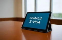 Nidaamka E-visaha