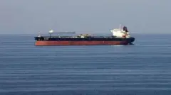 نیوزیلند با همکاری استرالیا، بریتانیا و آمریکا در حال بررسی فعالیت شرکت بیمه ماریتایم میوچوال آغاز کرده است 