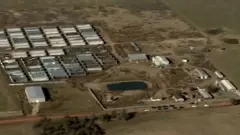 የካናቢስ እርሻ