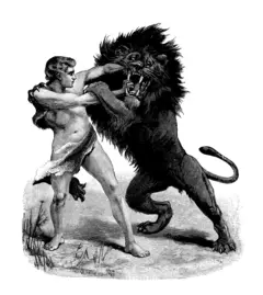 கிளாடியேட்டர், வரலாறு, தொல்லியல், விலங்குகள்