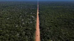 Foto de estrada cortando floresta amazônica