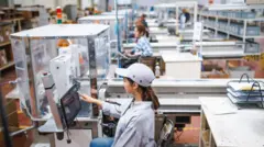 Fabrika çalışanları 