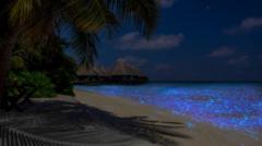 Lautan Bintang atau Sea of Stars yang banyak memikat wisatawan untuk datang ke Maladewa.