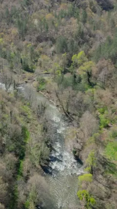 Studenica