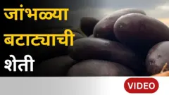 थंबनेल