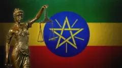 Alaabaa Itoophiyaafi siidaa haqaa 