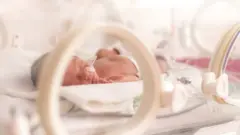 ህጻን ልጅ 