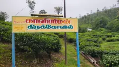 கோவை, வால்பாறை, வனவிலங்கு மோதல், சிறுத்தை தாக்குதல், தேயிலை தோட்டம்