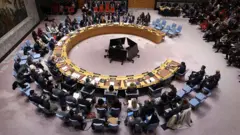 संयुक्त राष्ट्रांच्या सुरक्षा परिषदेची बैठक सुरू असतानाचं एक दृश्य.