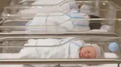 Bebês na maternidade