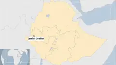 Bakka magaalaan Dambi-Doolloo itti argamu