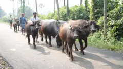 கூகுள் தரவு மையம், தர்லுவாடா, ஆந்திரப் பிரதேசம், தகவல் தொழில்நுட்பம்