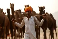 राजस्थान 