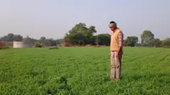 નવાગરા ગામના ખેડૂત નંદલાલ મેણાત કૃષિ ખેડૂત ગુજરાત
