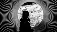 စွန့်ပစ်ခံကလေးငယ်တစ်ဦး ကိုသရုပ်ဖော်ပုံ