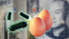 У відвідувачів ресторану підтвердили сальмонельоз, причиною якого стали сирі яйця