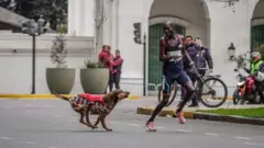 Robert Kimutai Ng’eno