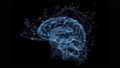 బ్రెయిన్