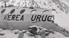 Avión de la Fuerza Aérea Uruguaya