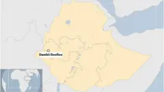 Danaa Qeellam Wallaggaa magaalaa Dambi Doolloo