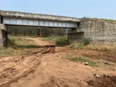 கோவை, யானைகள், வனத்துறை