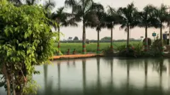 ਬੂਲੇਵਾਲ 