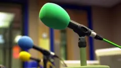 የስቱድዮ ማይክ