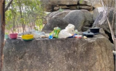 Alimentos em cima de pedra, em pedreira