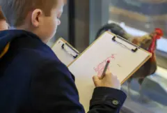 ስእሊ ዝስእል ቈልዓ