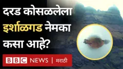 इर्शाळगड