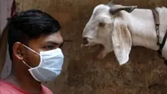 बिहार में कोरोना वायरस