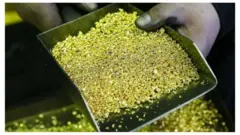 બીબીસી ગુજરાતી, ગુજરાત, બીબીસી, અમદાવાદ, પાકિસ્તાન, સોનું