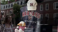 Толстовка, кепка и плюшевый пес с символикой Гарвардского университета за стеклом, в котором отражаются здания Гарварда и женщина в очках.