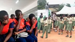 Ụmụakwụkwọ