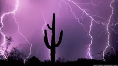 ਅਸਮਾਨੀ ਬਿਜਲੀ