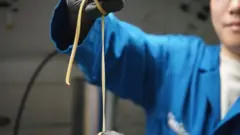 研究開発されたプラスチック