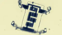 mikrorobot